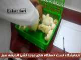 تاثیر محیط و اتاق دستگاه جوجه کشی در میزان هچ
