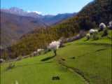 طبیعت درمانی_روستای لاوتربرونن Lauterbrunnen سوئیس