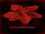 دانلود رایگان فیلم کلمبیانا دوبله فارسی Colombiana 2011