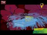 کارتون باب اسفنجی فصل چهارم قسمت اول - (a) Sponge Bob S04 E01