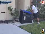 بدام انداختن تمساح در حیاط خانه در فلوریدا