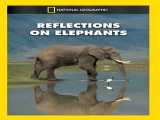 دانلود رایگان مستند بازتاب فیل‌ها دوبله فارسی Reflections on Elephants 1996