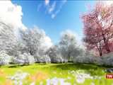 موزیک ویدئو پرستار - قاسم افشار