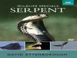 تماشای مستند حیوانات استثنایی: مار دوبله فارسی Wildlife Specials: Serpent 2002