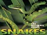 پخش مستند مارها دوبله فارسی The Ultimate Guide: Snakes 1997