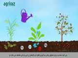 در هوای برفی ربات HeRo خریدهای آنلاین شما را در یک ساعت تحویلتان می دهد