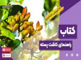 بهترین مکمل طبیعی بدنسازی