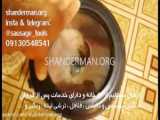 ماهی بدون روغن در ماکروویو و سولاردوم