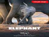 تماشای مستند فیل دوبله فارسی Elephant 2020