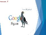 الگوریتم کبوتر گوگل چیست و چه تاثیری در سئو دارد