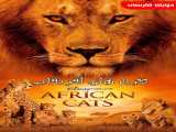 دیدن مستند گربه های آفریقایی دوبله فارسی African Cats 2011