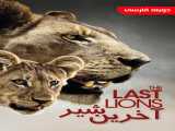 دیدن مستند آخرین شیر دوبله فارسی The Last Lions 2011