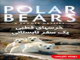 مشاهده رایگان مستند خرسهای قطبی : یک سفر تابستانی دوبله فارسی Polar Bears : A Summer Odyssey 2012