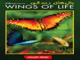 دیدن مستند بال‌های زندگی دوبله فارسی Wings of Life 2011