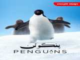 مشاهده آنلاین مستند پنگوئن دوبله فارسی Penguins 2019