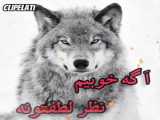 دوره‌های آموزش پوست و مو