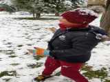 برف زمستانی  برف بازی در زمستان