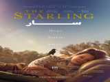 تماشای فیلم سار زیرنویس فارسی The Starling 2021