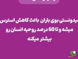 تئوری های کیوت تعوری