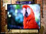 فیلم معرفی تلویزیون 55 اینچ 4K ال جی مدل 55UM7340