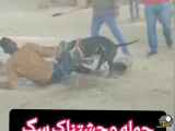 حمله وحشتناک سگ به انسان
