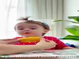 چالش ناز کردن گربه ایرانی