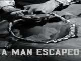 تماشای فیلم محکوم به مرگی گریخته است دوبله فارسی A Man Escaped 1956