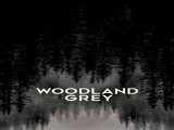 دیدن فیلم جنگل خاکستری زیرنویس فارسی Woodland Grey 2021