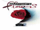 مشاهده آنلاین فیلم گل های هریسون دوبله فارسی Harrison s Flowers 2000