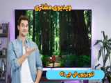 رضایت مشتری تلویزیون QNED91 ال جی