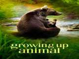 مستند بزرگ شدن حیوان فصل 1 قسمت 1 دوبله فارسی Growing Up Animal 2021