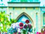 استوری ویژه ولادت امام حسین (ع)