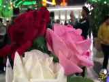 استوری ویژه ولادت امام حسین.