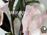 فروش شاخه گل مصنوعی مدل مگنولیا پخش از فروشگاه ملی