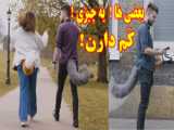 ری اکشن خنده دار سگ و گربه با فرش سه بعدی