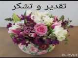 غنچه های ارغوانی