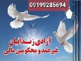 اجاره فیش حقوقی/ضامن دادگاه/ضامن دادسرا۰۹۱۹۹۲۸۵۶۹۴