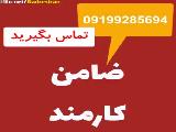 ضامن برای دادگاه/ضامن برای دادسرا/اجاره فیش حقوقی ۰۹۰۱۶۴۵۳۳۱۷