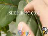 فروش شاخه مصنوعی مدل برگ لیراتا پخش از فروشگاه ملی
