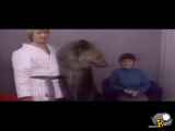 حمله وحشتناک خرس به یک زن