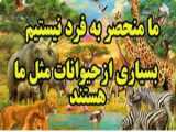 کلیپ زیبا از ترکیب حیوانات و انسان