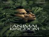 پخش فیلم پادشاهی حیوانات دوبله فارسی The Animal Kingdom 2023
