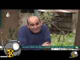 سریال جایزه شش طنزشمالی قسمت۲۹