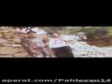شهید علی کرم شاه منصوری