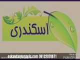پسوریازیس در طب سنتی