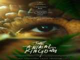 فیلم قلمرو حیوانات The Animal Kingdom    