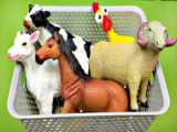 صدای حیوانات مزرعه حیوانات مزرعه برای بچه ها آموزش حیوانات مزرعه