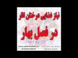زعفران ویسپانا