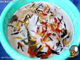 ماهی گلی ظرف پر از انواع ماهی ها - بچه کروکودیل - ماهی قرمز - ماهی زینتی
