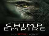 مستند امپراتوری شامپانزه ها فصل 1 قسمت 1 Chimp Empire 2023 